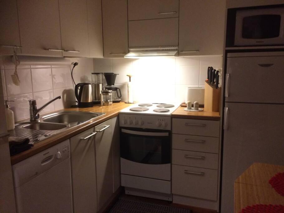 Artic Bouleward Home 로바니에미 외부 사진